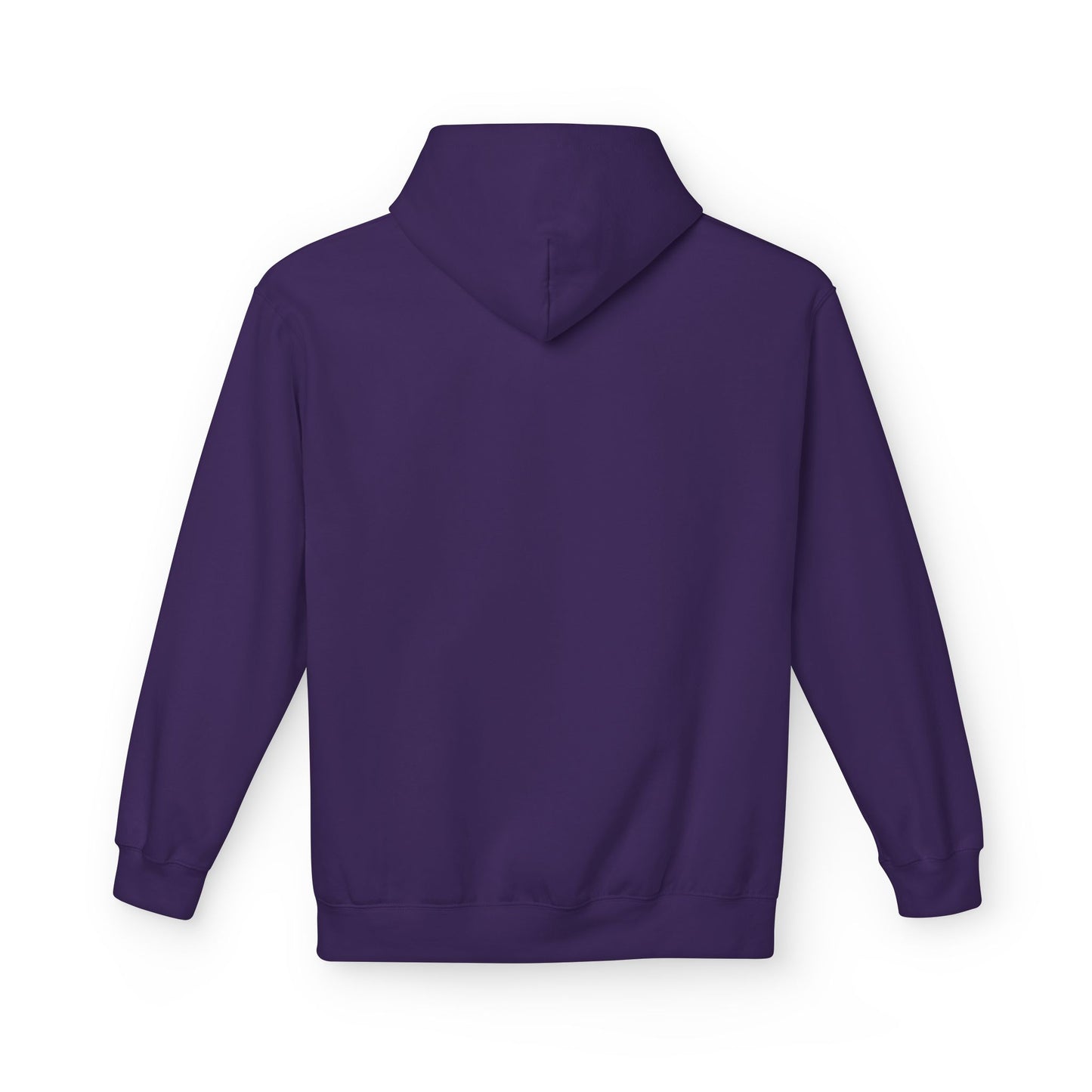 An Electrical Engineer is Speaking, Listen and Learn - Women's Oversized Hoodie
