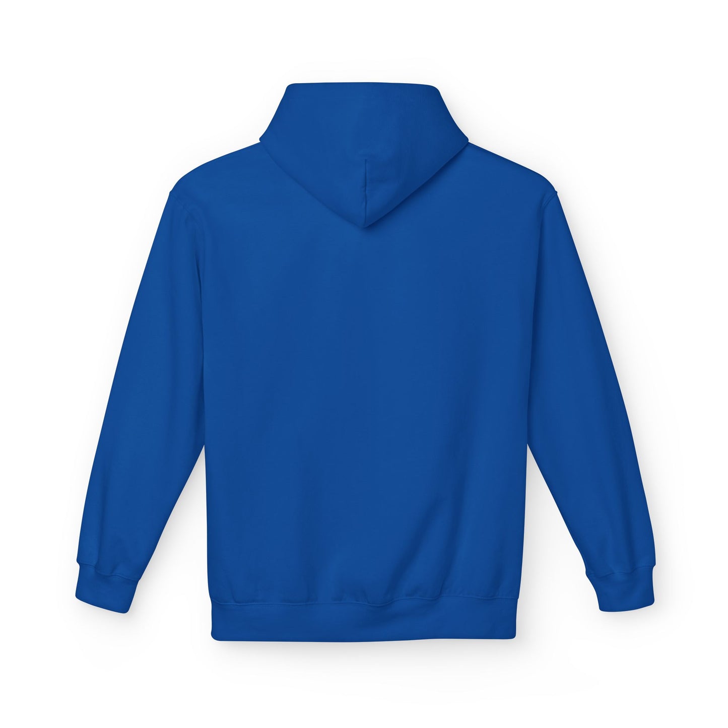 An Electrical Engineer is Speaking, Listen and Learn - Women's Oversized Hoodie